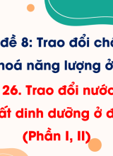 Bài 26. Trao đổi nước và các chất dinh dưỡng ở động vật (Phần I, II)
